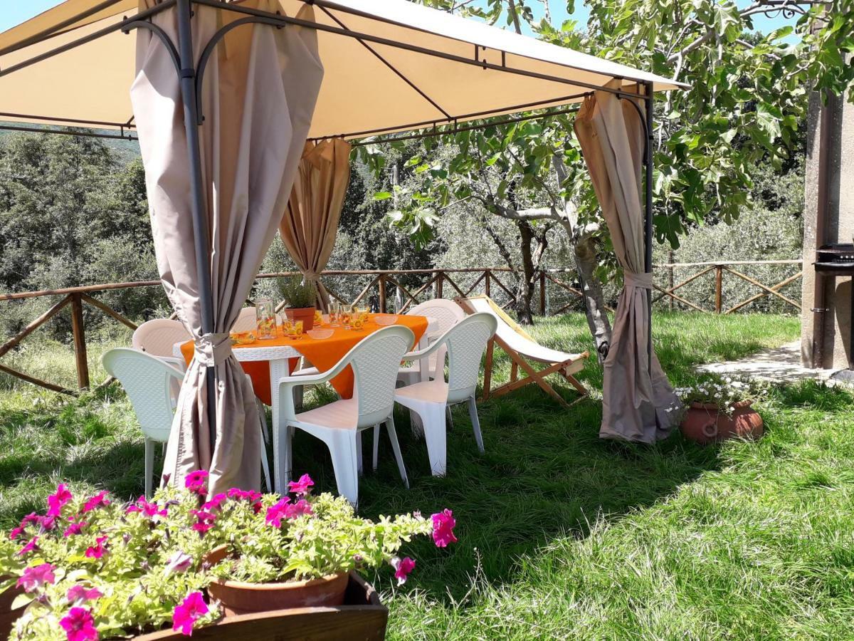 Alle Preci Country House Santa Restituta Exterior photo