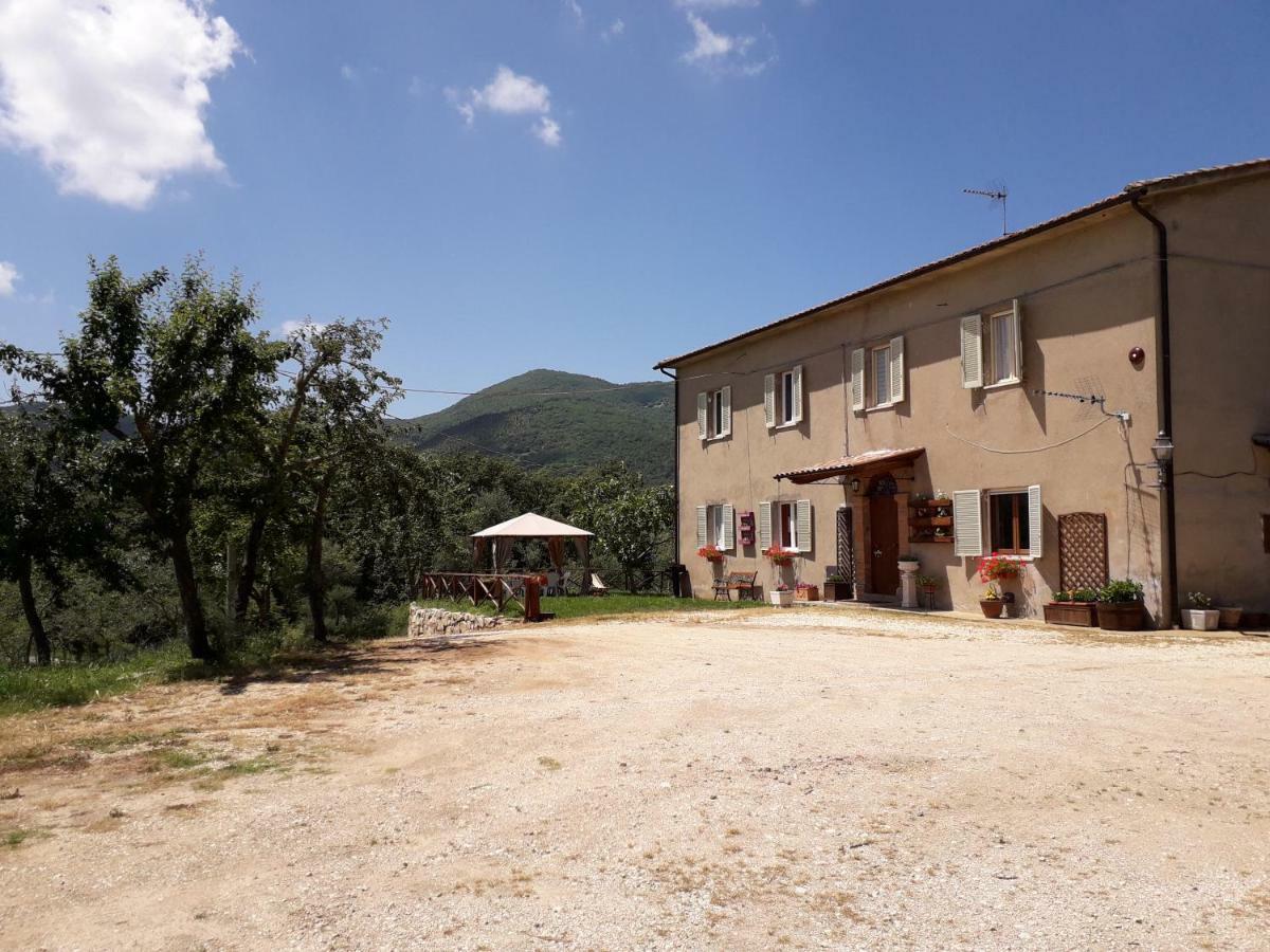 Alle Preci Country House Santa Restituta Exterior photo
