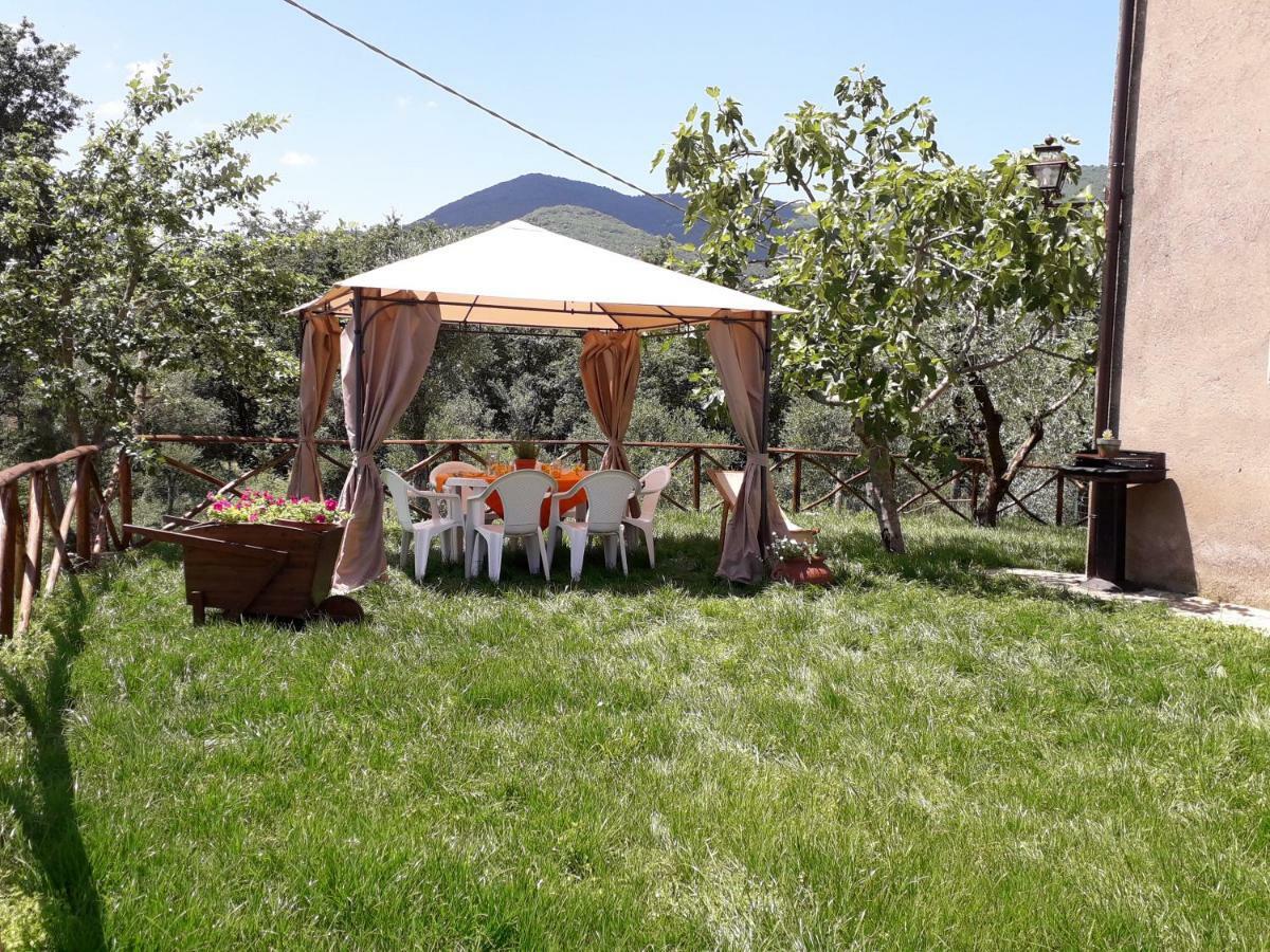 Alle Preci Country House Santa Restituta Exterior photo